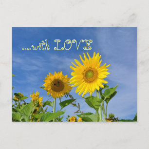 Cartão Postal Girassóis para você ...