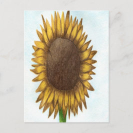 Cartão Postal Girassol bonito
