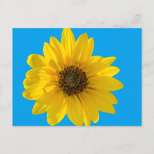 Cartão Postal Girassol com iluminação traseira (Helianthus)