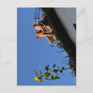 Cartão Postal Girassol no telhado.