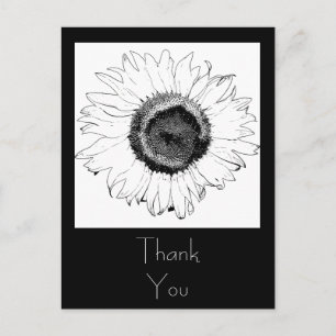 Cartão Postal Girassol preto e branco Obrigado