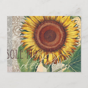 Cartão Postal Girassol Vintage Damask Flower Art