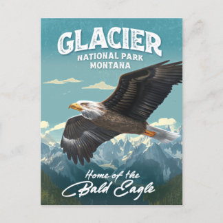 Cartão Postal Glacier National Park Bald Eagle