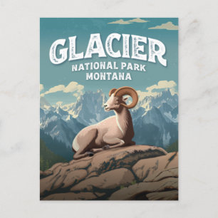 Cartão Postal Glacier National Park Bighorn Sheep