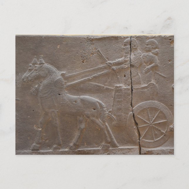 Cartão Postal Gladiadores (Frente)