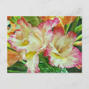 Cartão Postal Gladiola texturizada