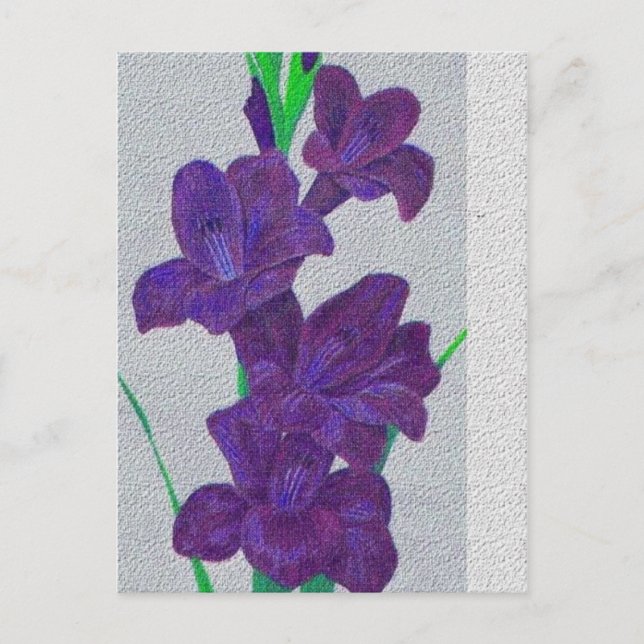 cartão postal gladiolus (Frente)