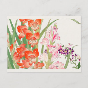 Cartão Postal Gladiolus, Schizanthus por Tanigami Konan