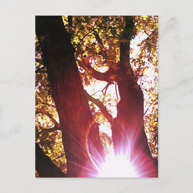 Cartão Postal Glare Red Sun (Frente)