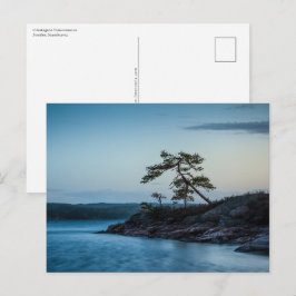 Cartão Postal Glaskogen Suécia