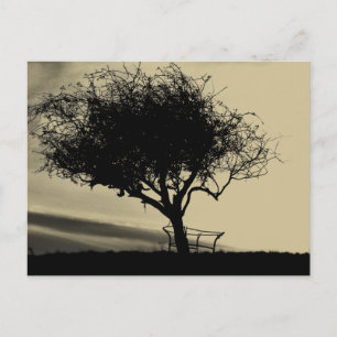 Cartão Postal Glastonbury Hawthorn. Árvore em Hill. Sepia Color