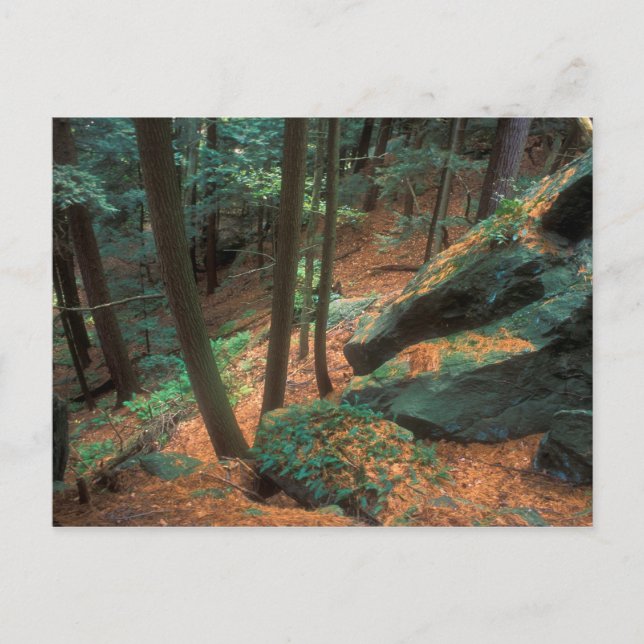 Cartão Postal Glen Ravine (Frente)