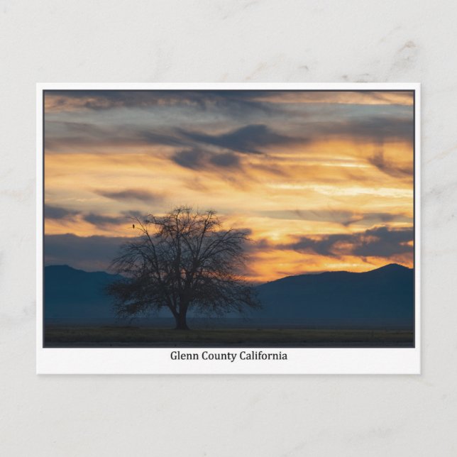 Cartão Postal Glenn County California Sunset Postcard (Frente)