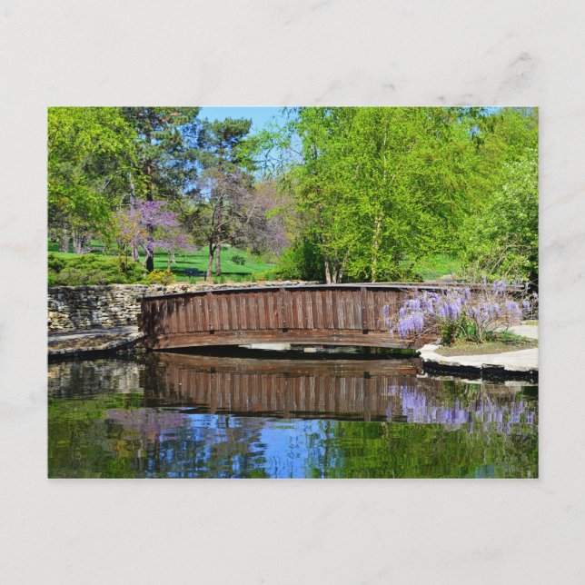 Cartão Postal Glicínias em flor no Loose Park em Kansas City (Frente)