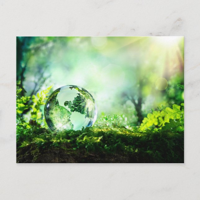 Cartão Postal Globo de cristal em uma floresta verde (Frente)