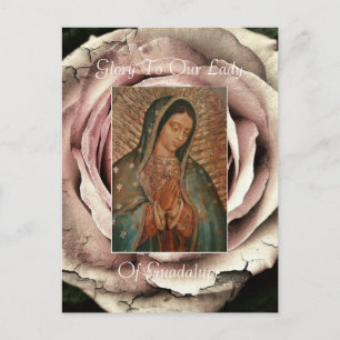 Cartão Postal Glória À Nossa Senhora De Guadalupe