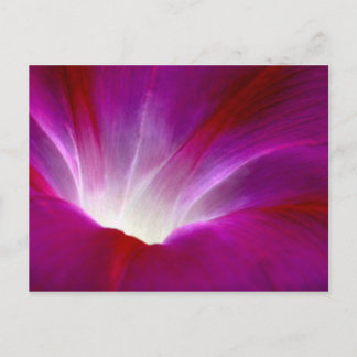 Cartão Postal Glória da Manhã (2)