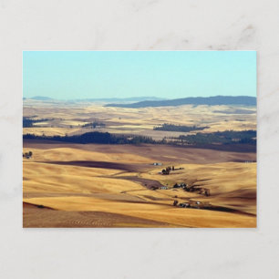 Cartão Postal Glória da Palha