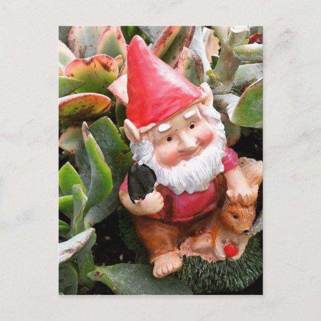 Cartão Postal Gnome escondido nos suculentos (Frente)