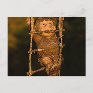 Cartão Postal gnomo de jardim