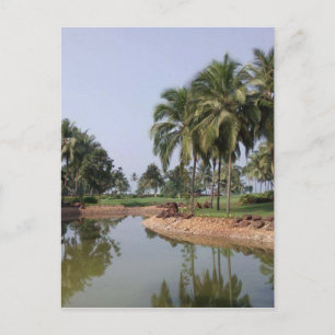 Cartão Postal Goa India