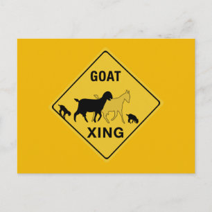 Cartão Postal Goat Crossing, Traffic Warning Sign, Indiana, EUA