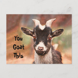 Cartão Postal Goat Cute Engraçado Você Gosta Disso