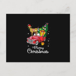Cartão Postal Goat Rides Red Truck Natal Pajama