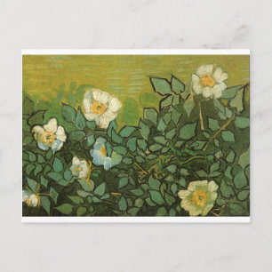 Cartão Postal Gogh Rosas Selvagens Flores Vinhas Arte Vintage