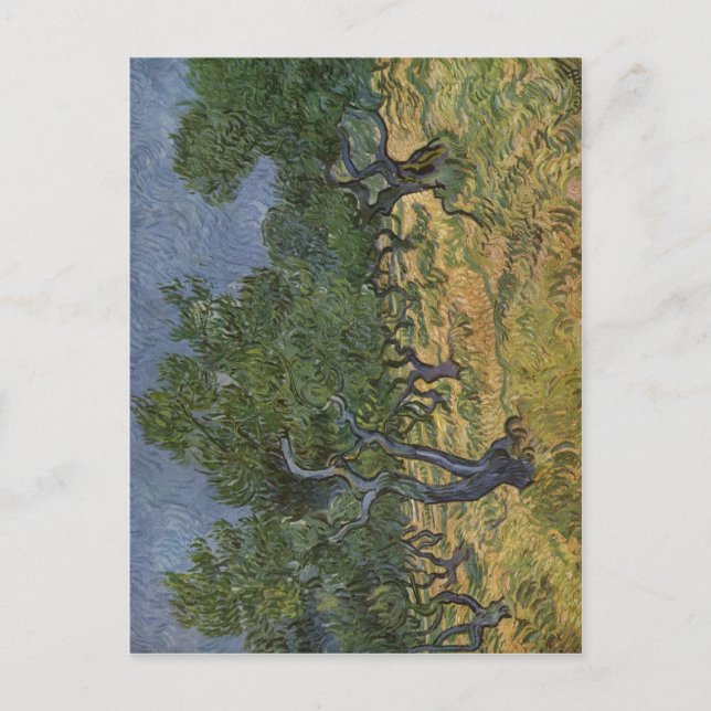 Cartão Postal Gogh, Vincent van Olivenhain 1889 Technique ?l auf (Frente)