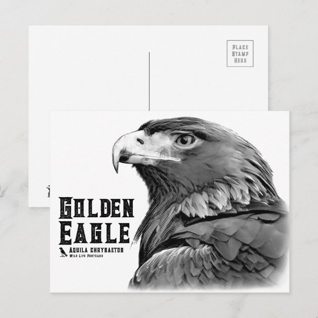 Cartão Postal Golden Eagle (Frente/Verso)