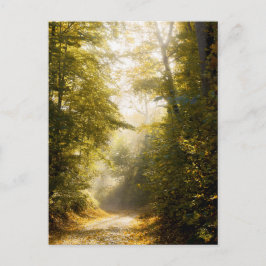 Cartão Postal Golden Morning park, Original Fine Art Photograph