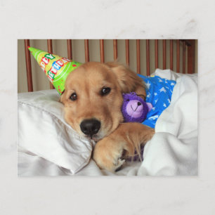 Cartão Postal Golden Retriever Sonolento de Pijama de Aniversári