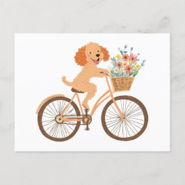 Cartão Postal Goldendoodle Cachorro Cachorro Bicando Flores De M