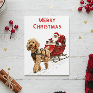 Cartão Postal Goldendoodle e Cachorro do Papai Noel Natal Férias