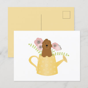 Cartão Postal Goldendoodle Em Água Pode Amarelar