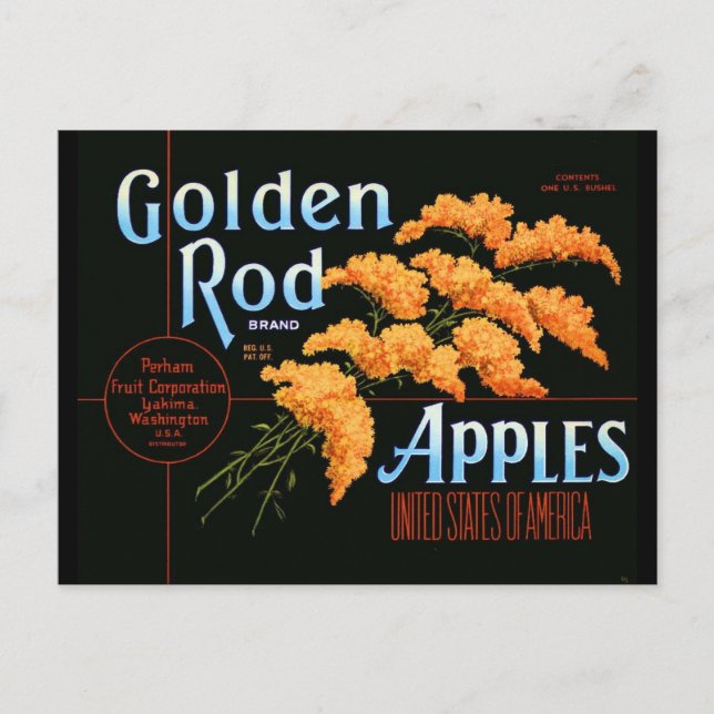 Cartão Postal Goldenrod (Frente)