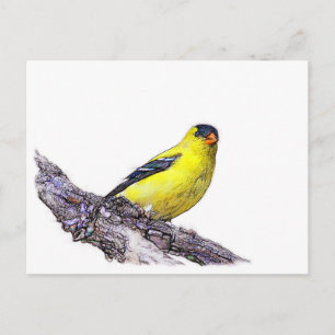 Cartão Postal Goldfinch