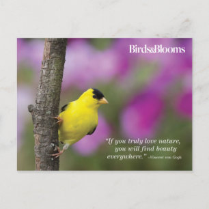 Cartão Postal Goldfinch