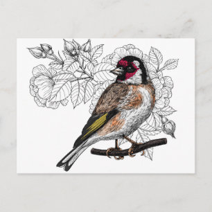 Cartão Postal Goldfinch e rosas