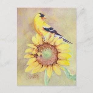 CARTÃO POSTAL GOLDFINCH E SUNFLOWER DE SHARON SHARPE