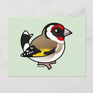 Cartão Postal Goldfinch Europeu