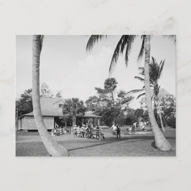 Cartão Postal Golfing in Palm Beach, 1904 (Frente)