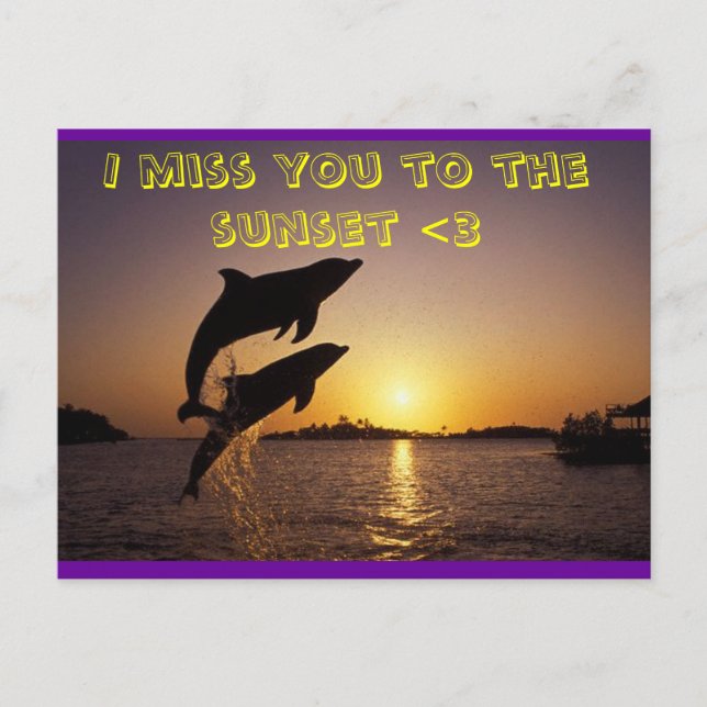 Cartão Postal golfinho (Frente)