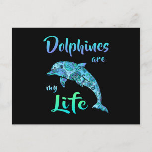 Cartão Postal Golfinho Golfinhos Oceano Mar Peixe Animal Present