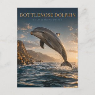 Cartão Postal Golfinho Nariz-de-Garrafa Oceano Costeiro ANIMAIS