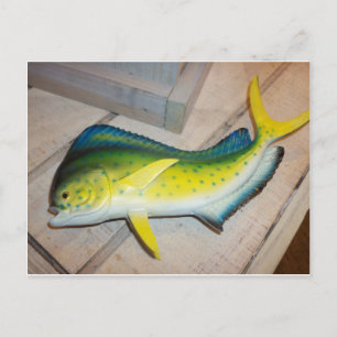 Cartão Postal Golfinho No Peixe (Não No Mamífero)