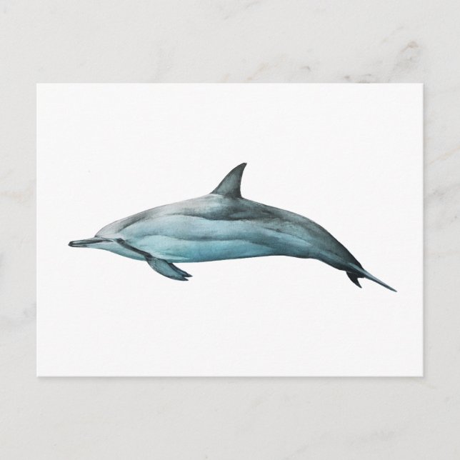 Cartão Postal Golfinho-roda (Frente)