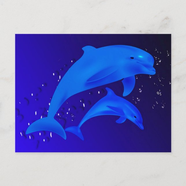Cartão Postal Golfinhos (Frente)