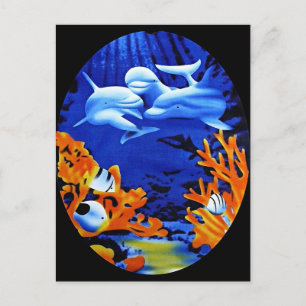 Cartão Postal Golfinhos